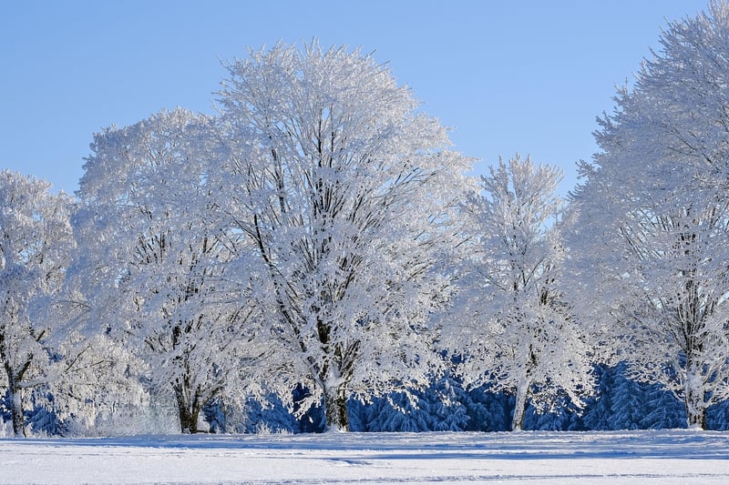Winter Decor